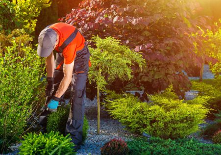 Planting